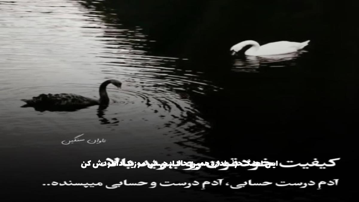 عکس آهنگ بیو تا مثل قدیمل از محمد درویش